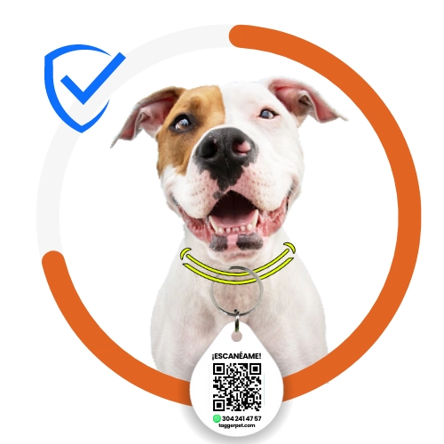 Comprar placa Tagger Pet