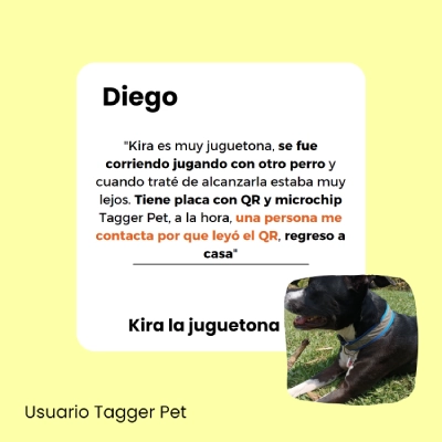 Testimonio Diego Salgado