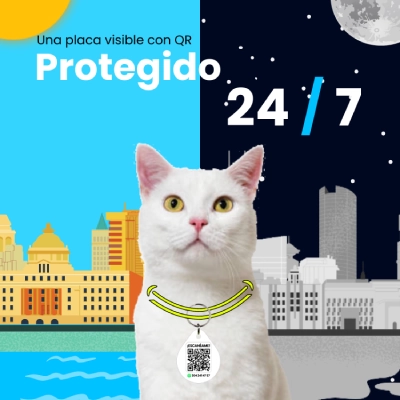 protegido y visible 24-7 con placa con qr