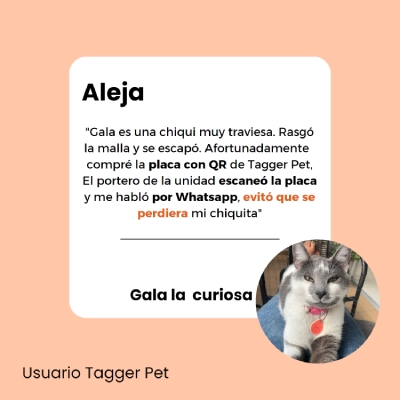 Testimonio Alejandra Villegas